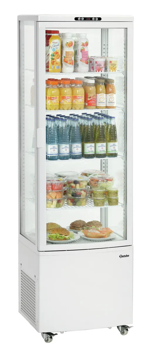 Professioneller Kühlschrank - 235 L