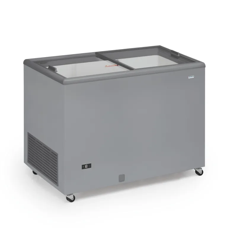 Gefrierschrank mit Glasschiebetüren - 300 L