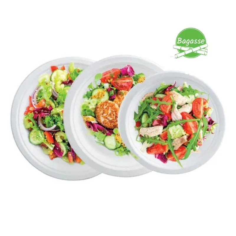 Runder Teller aus Bagasse - 180 mm - Packung mit 50
