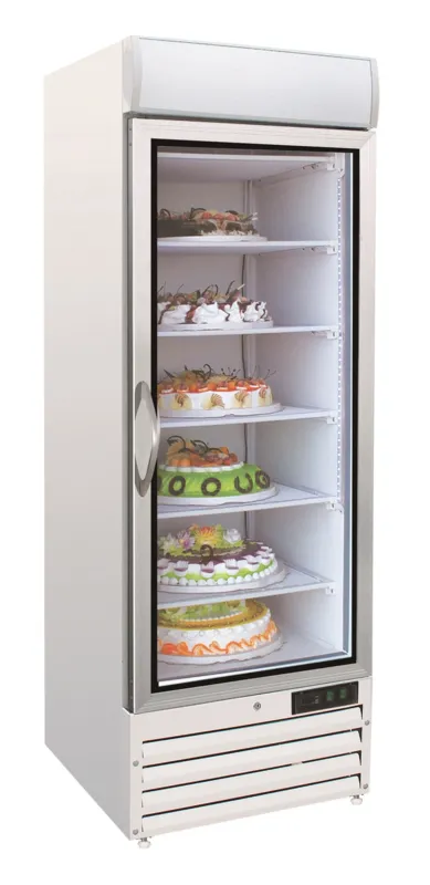 Negativer Kühlschrank - 1 Glastür - 578 L