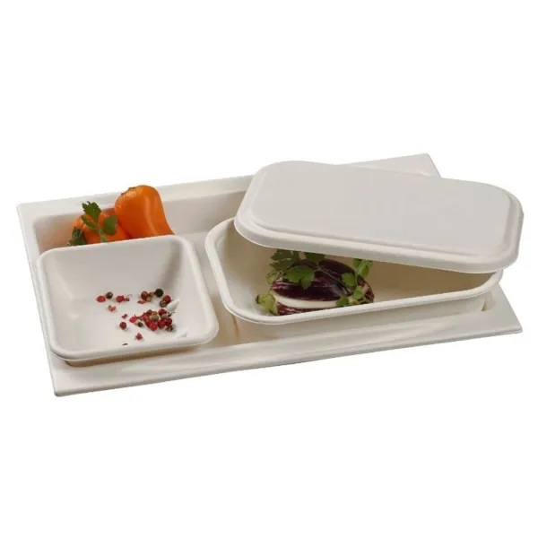 Tablett aus Zellstoff - 273 x 194 mm - Packung mit 50