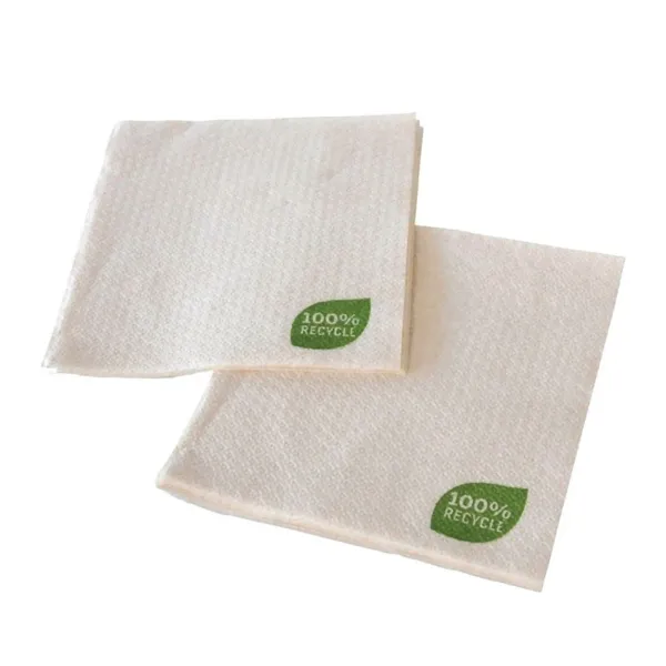 Recycling-Papierservietten - 30 x 30 cm 1-lagig - Packung mit 100