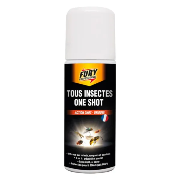 Bombe Action Choc für Fliegen, Krabbeltiere, Bettwanzen und Milben - Einzeldosis - 200 ml